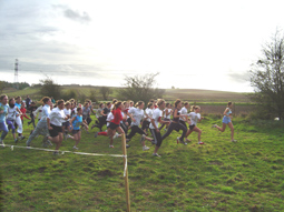 cross1.jpg (38644 octets)