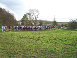 cross15.jpg (40290 octets)